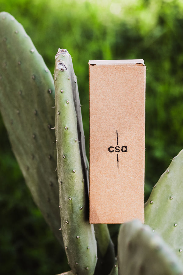 %100 Doğal At Kılı Yüz/Saç Bakım Fırçası